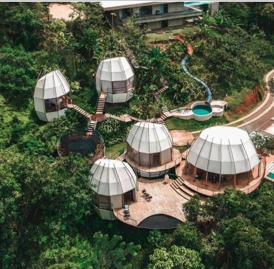 Art Costa Rica, & Glamping Uvita