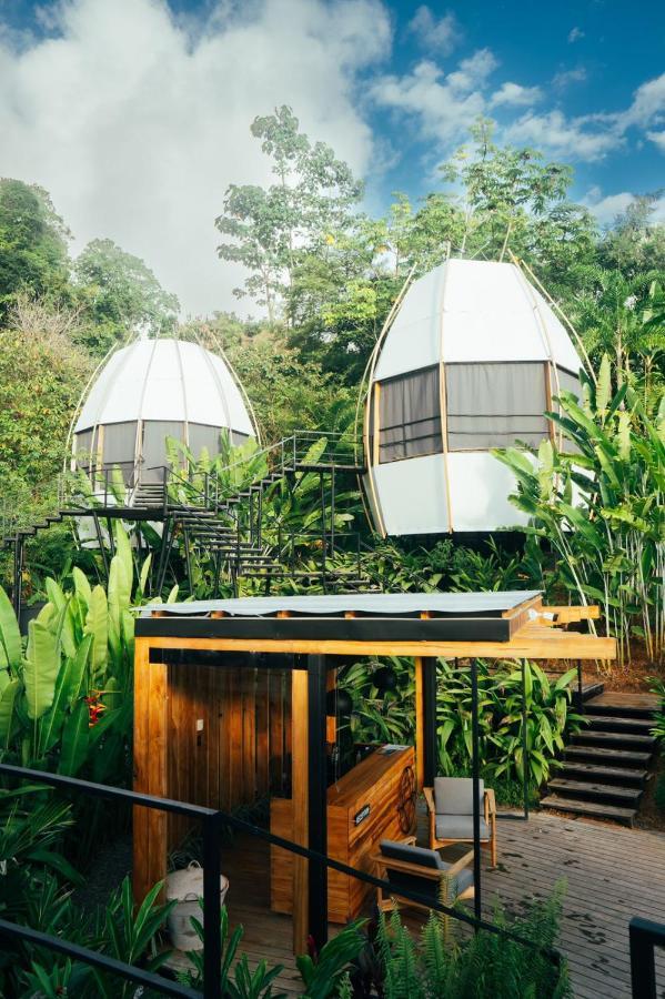 Lodge Art Costa Rica, & Glamping